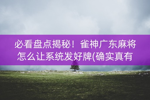 必看盘点揭秘！雀神广东麻将怎么让系统发好牌(确实真有挂)