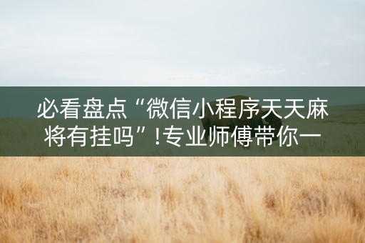 必看盘点“微信小程序天天麻将有挂吗”!专业师傅带你一起了解（详细教程）-知乎