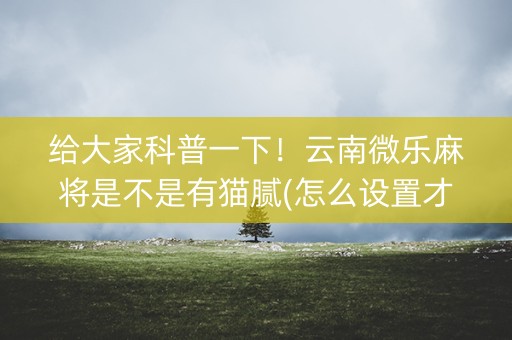 给大家科普一下！云南微乐麻将是不是有猫腻(怎么设置才能赢)