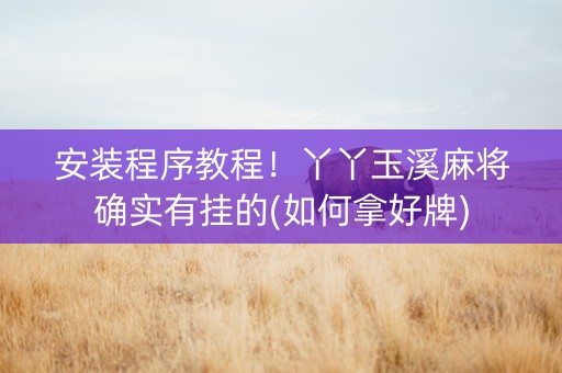 安装程序教程！丫丫玉溪麻将确实有挂的(如何拿好牌)