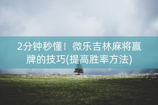 2分钟秒懂！微乐吉林麻将赢牌的技巧(提高胜率方法)