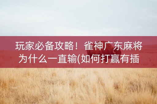 玩家必备攻略！雀神广东麻将为什么一直输(如何打赢有插件吗)