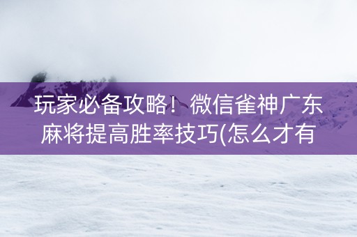 玩家必备攻略！微信雀神广东麻将提高胜率技巧(怎么才有好牌)