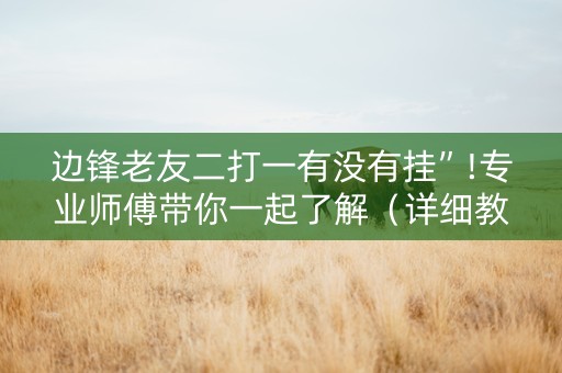 边锋老友二打一有没有挂”!专业师傅带你一起了解（详细教程）-知乎