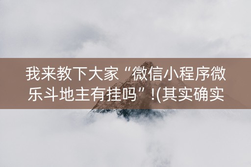 我来教下大家“微信小程序微乐斗地主有挂吗”!(其实确实有挂)-知乎