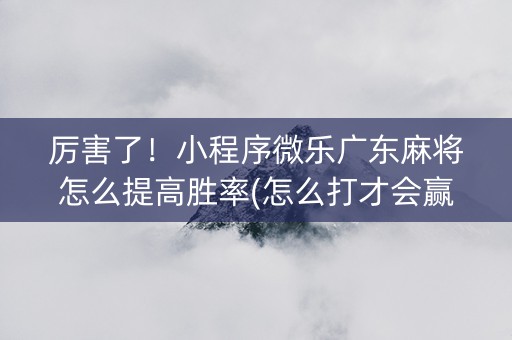 厉害了！小程序微乐广东麻将怎么提高胜率(怎么打才会赢)