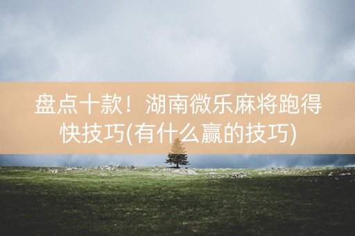 盘点十款！湖南微乐麻将跑得快技巧(有什么赢的技巧)