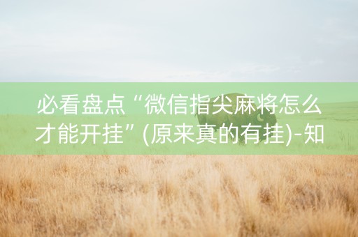 必看盘点“微信指尖麻将怎么才能开挂”(原来真的有挂)-知乎