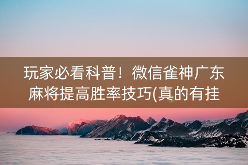 玩家必看科普！微信雀神广东麻将提高胜率技巧(真的有挂)