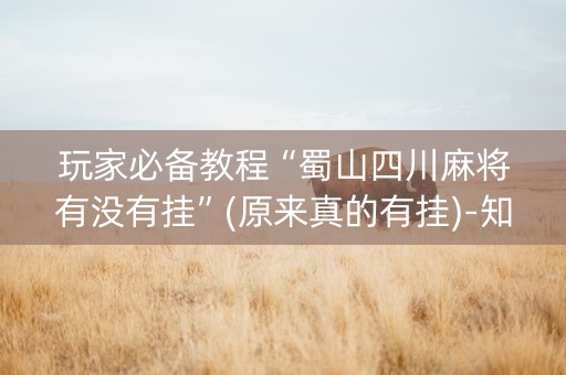 玩家必备教程“蜀山四川麻将有没有挂”(原来真的有挂)-知乎
