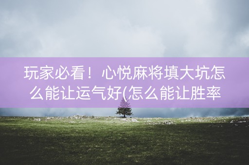 玩家必看！心悦麻将填大坑怎么能让运气好(怎么能让胜率高)