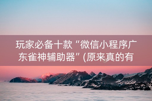 玩家必备十款“微信小程序广东雀神辅助器”(原来真的有挂)-知乎
