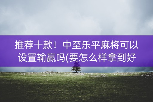 推荐十款！中至乐平麻将可以设置输赢吗(要怎么样拿到好牌)