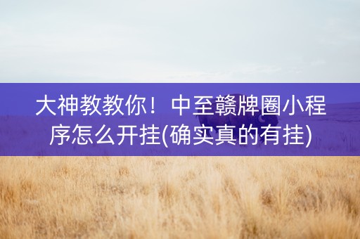 大神教教你！中至赣牌圈小程序怎么开挂(确实真的有挂)