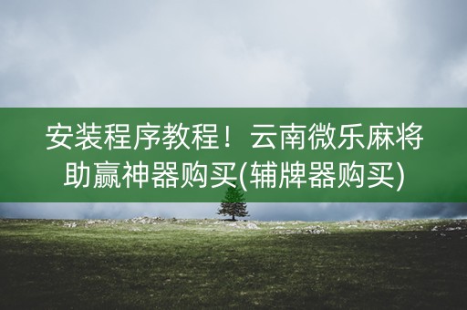安装程序教程！云南微乐麻将助赢神器购买(辅牌器购买)
