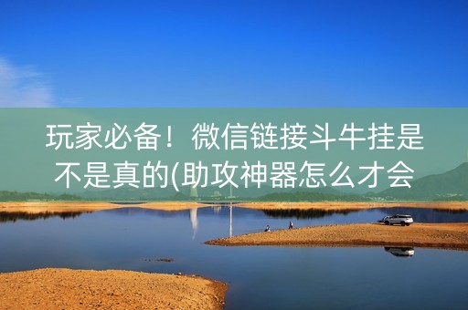 玩家必备！微信链接斗牛挂是不是真的(助攻神器怎么才会赢)