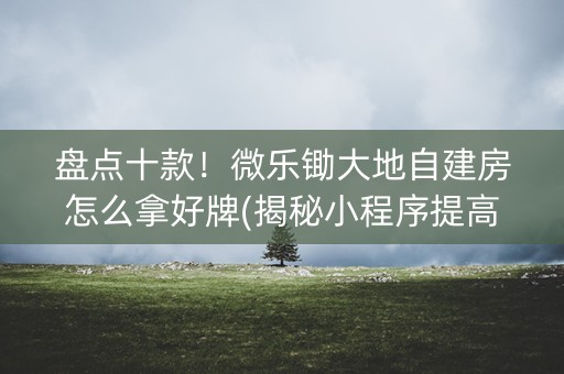 盘点十款！微乐锄大地自建房怎么拿好牌(揭秘小程序提高赢的概率)