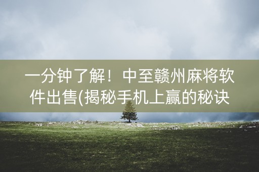 一分钟了解！中至赣州麻将软件出售(揭秘手机上赢的秘诀)