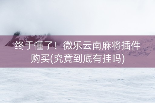 终于懂了！微乐云南麻将插件购买(究竟到底有挂吗)