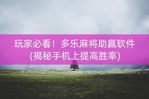 玩家必看！多乐麻将助赢软件(揭秘手机上提高胜率)