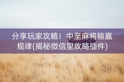分享玩家攻略！中至麻将输赢规律(揭秘微信里攻略插件)