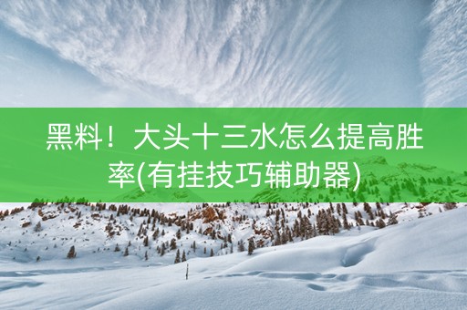 黑料！大头十三水怎么提高胜率(有挂技巧辅助器)