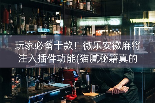 玩家必备十款！微乐安徽麻将注入插件功能(猫腻秘籍真的有挂)