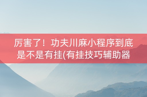厉害了！功夫川麻小程序到底是不是有挂(有挂技巧辅助器)
