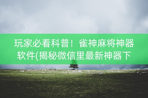 玩家必看科普！雀神麻将神器软件(揭秘微信里最新神器下载)