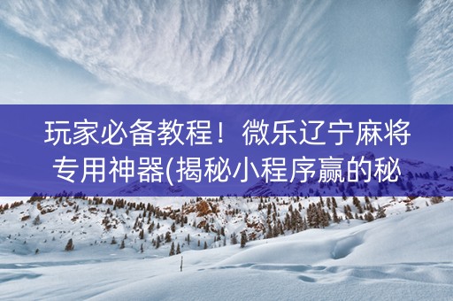 玩家必备教程！微乐辽宁麻将专用神器(揭秘小程序赢的秘诀)