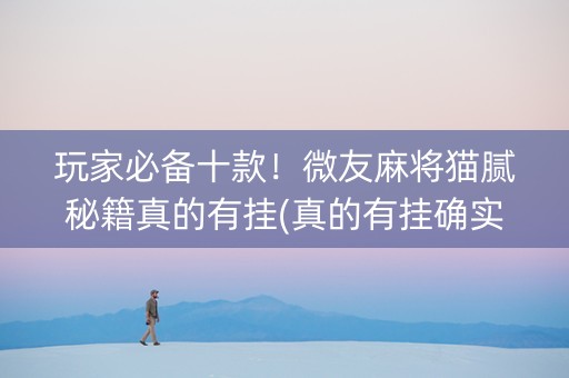 玩家必备十款！微友麻将猫腻秘籍真的有挂(真的有挂确实有挂)