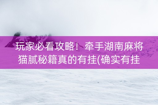 玩家必看攻略！牵手湖南麻将猫腻秘籍真的有挂(确实有挂吗)