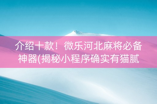 介绍十款！微乐河北麻将必备神器(揭秘小程序确实有猫腻)