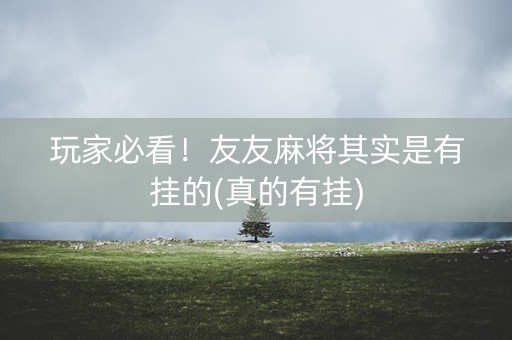 玩家必看！友友麻将其实是有挂的(真的有挂)