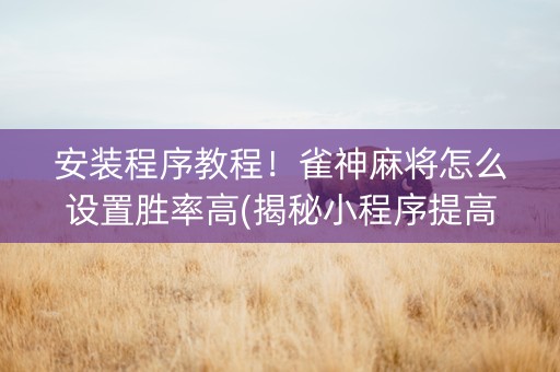 安装程序教程！雀神麻将怎么设置胜率高(揭秘小程序提高胜率)