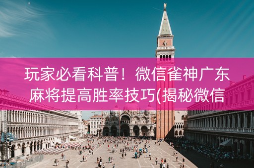 玩家必看科普！微信雀神广东麻将提高胜率技巧(揭秘微信里提高胜率)