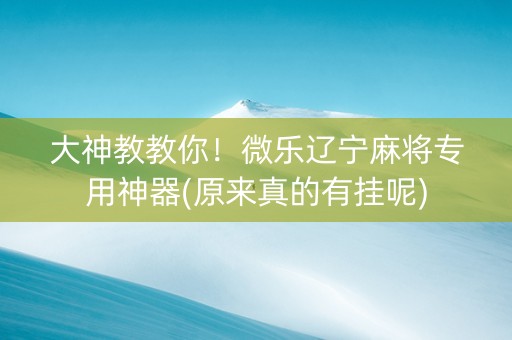 大神教教你！微乐辽宁麻将专用神器(原来真的有挂呢)