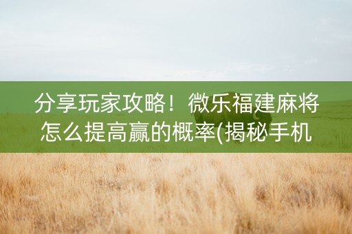 分享玩家攻略！微乐福建麻将怎么提高赢的概率(揭秘手机上提高胜率)