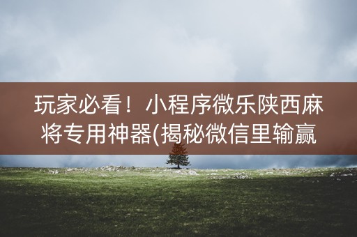 玩家必看！小程序微乐陕西麻将专用神器(揭秘微信里输赢规律)