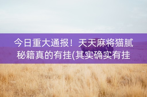 今日重大通报！天天麻将猫腻秘籍真的有挂(其实确实有挂)