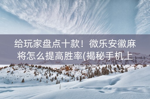给玩家盘点十款！微乐安徽麻将怎么提高胜率(揭秘手机上专用神器下载)