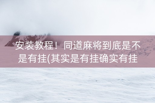 安装教程！同道麻将到底是不是有挂(其实是有挂确实有挂)