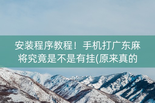 安装程序教程！手机打广东麻将究竟是不是有挂(原来真的有挂)
