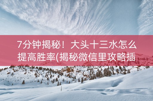 7分钟揭秘！大头十三水怎么提高胜率(揭秘微信里攻略插件)