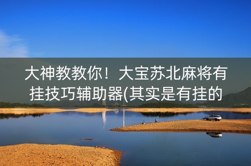 大神教教你！大宝苏北麻将有挂技巧辅助器(其实是有挂的)