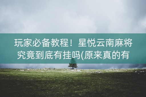 玩家必备教程！星悦云南麻将究竟到底有挂吗(原来真的有挂)
