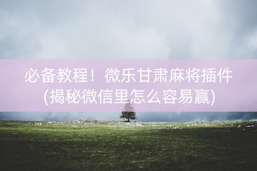 必备教程！微乐甘肃麻将插件(揭秘微信里怎么容易赢)