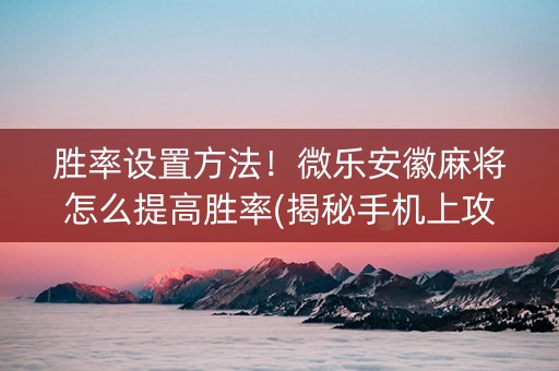 胜率设置方法！微乐安徽麻将怎么提高胜率(揭秘手机上攻略插件)