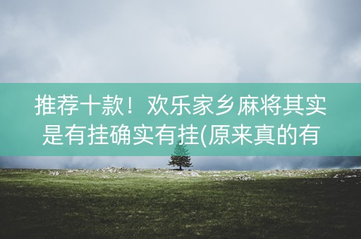 推荐十款！欢乐家乡麻将其实是有挂确实有挂(原来真的有挂)