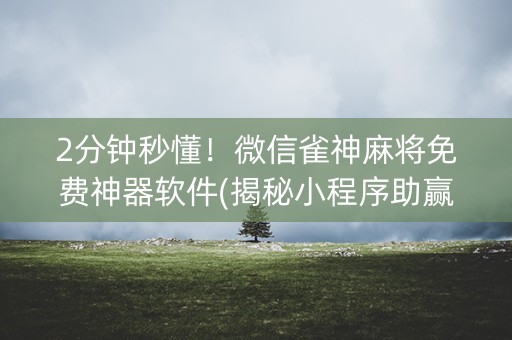 2分钟秒懂！微信雀神麻将免费神器软件(揭秘小程序助赢软件)